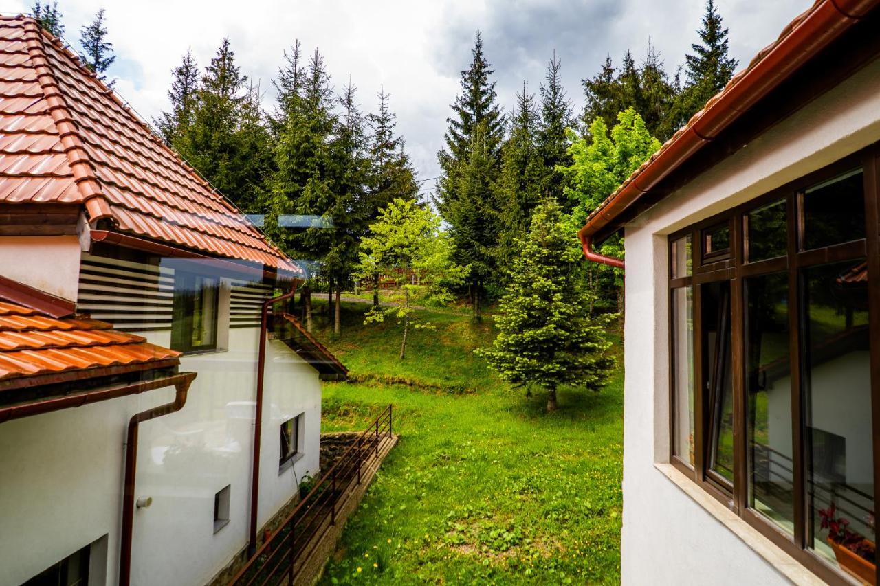 Pensiunea Romconcord Balcesti Exterior foto